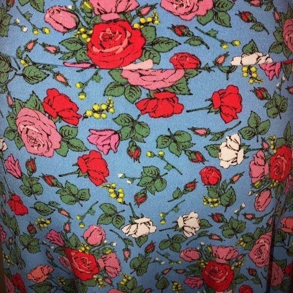 NWT LuLaRoe Azure Skirt Knee Length A Line in Blue with Red & Pink Floral Sz XS - Picture 6 of 6